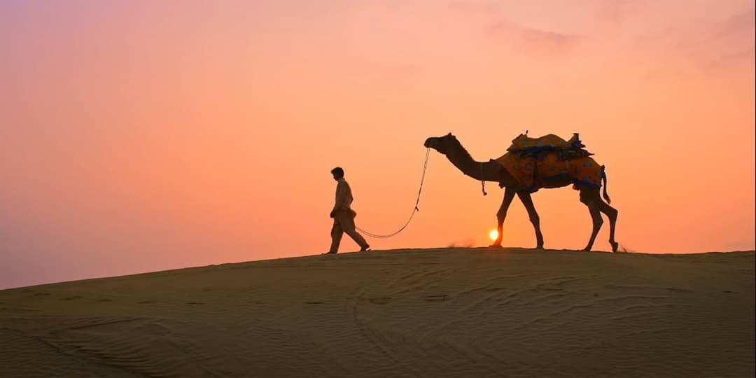 سندھ کے مشہور عشقیہ لوک داستان مومل راڻو میں ڈھاٹی اُونٹ کے چرچے، یہ اونٹ آج بھی مقبول کیوں؟
