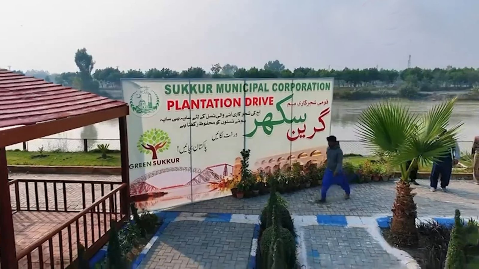 سکھر: ڈیجیٹل شجرکاری کے نئے ماڈل کے تحت لگائے جانے والے ہر نئے پودے کا نام کسی فرد کے نام سے رکھا جائے گا
