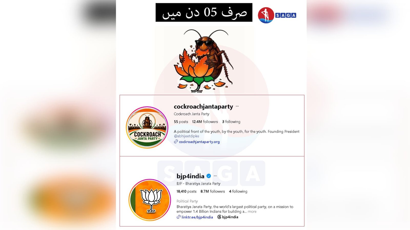 پارٹی