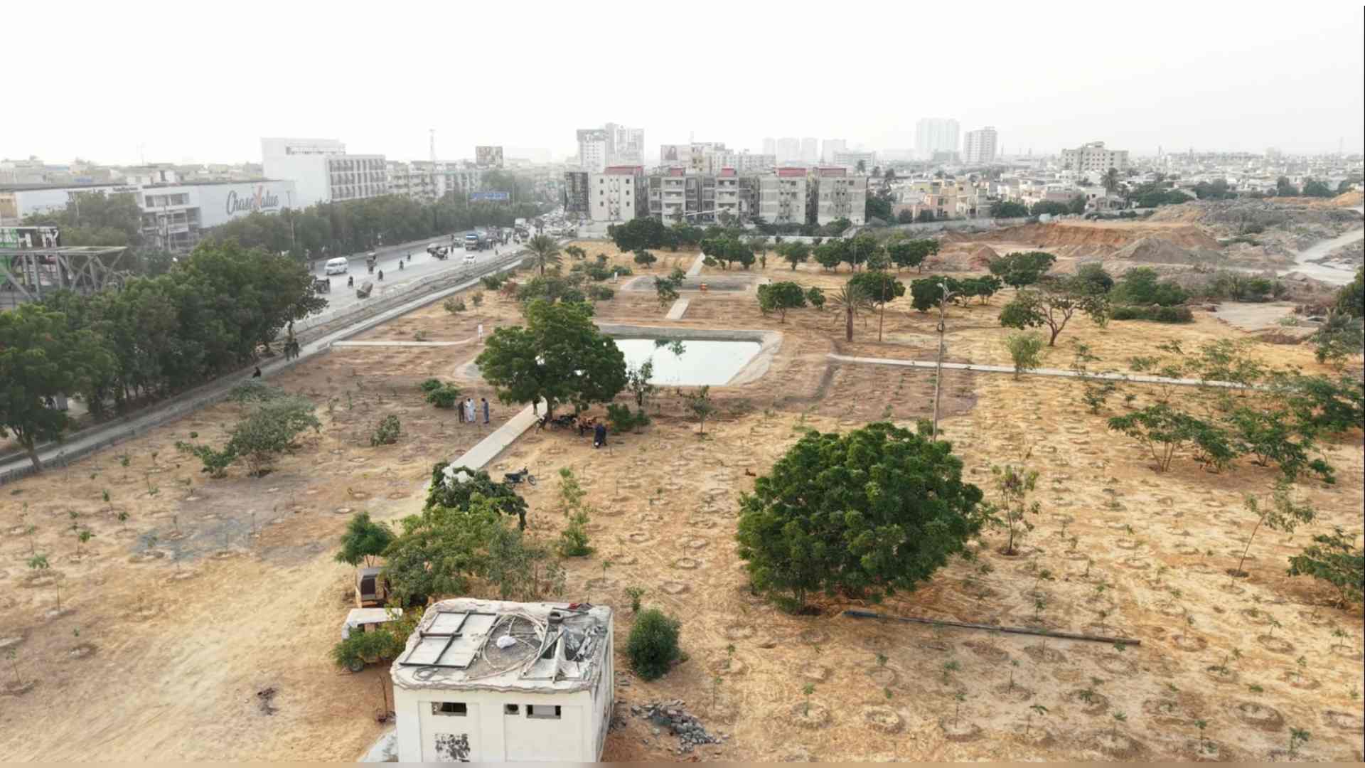 الہ دین پارک کی زمین پر نیا اربن فاریسٹ، کراچی میں پانچ ایکڑ رقبے پر شجرکاری کا آغاز