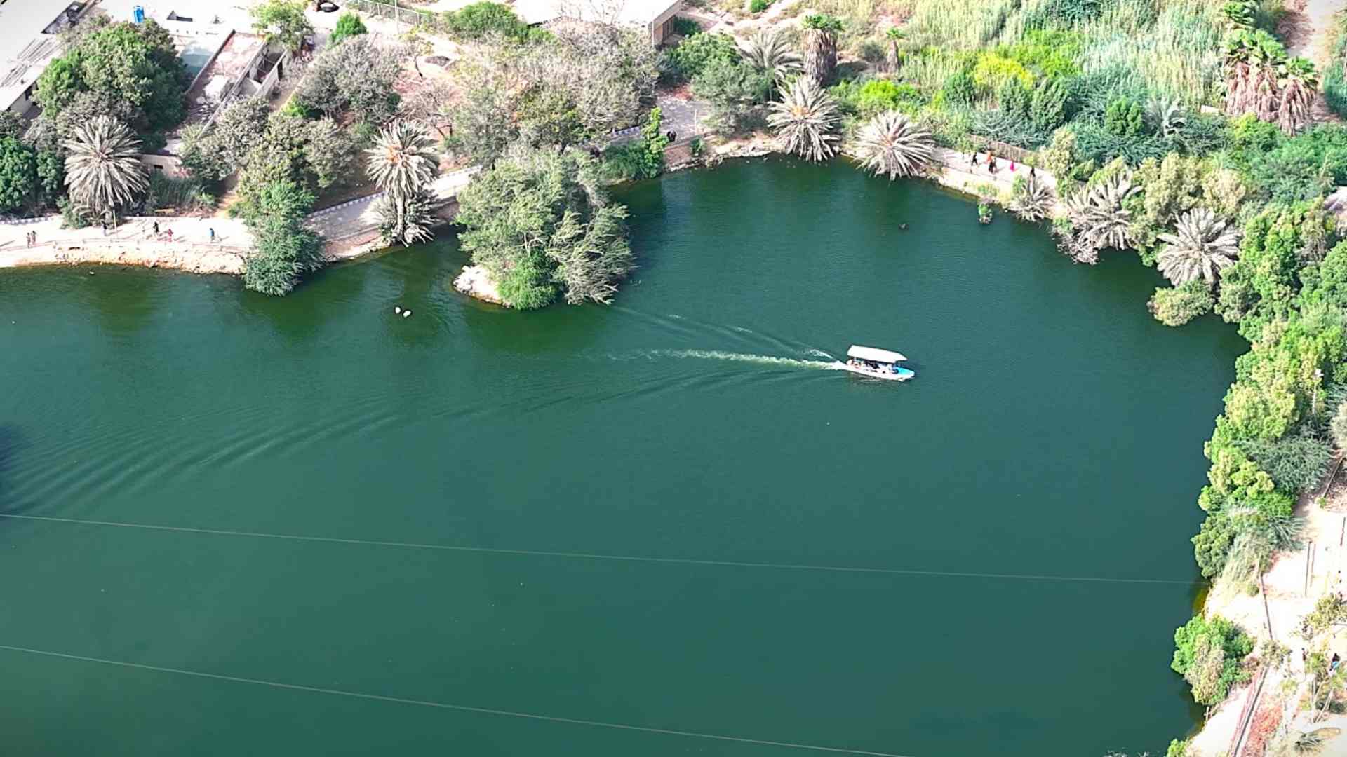 کراچی: سفاری پارک میں جانوروں اور سبے کے درمیاں سوان لیک میں کشتی رانی، شہریوں کے لیے نیا تجربہ