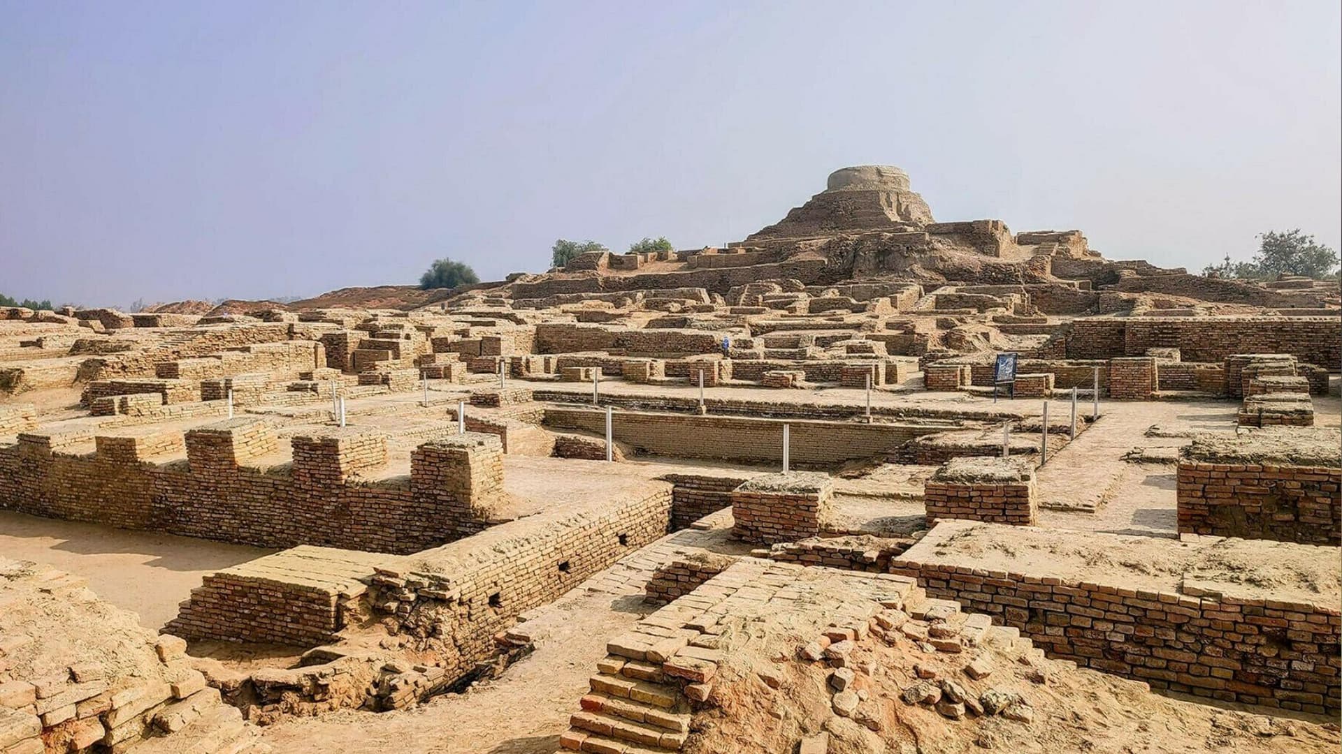 زاویہ: موہن جو دڑو کا آدمی